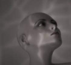 Cherla Art (Cheryl Ann Shanks)