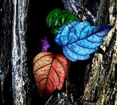 Cute Whatsapp Dp Whatsapp Dp Followus Coolwhatsappstatus Color Splash Photo Color Splash Photography Selective Color Photography