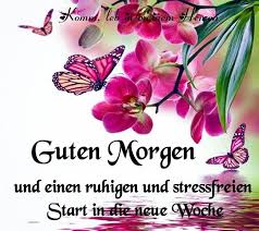 Guten morgen.grüße zum wochenstart.ich wünsche dir einen schönen start in die neue woche.einen wunderschönen. Marlies Ziegeler On Twitter Guten Morgen Liebe Twitterherzenbande Wunsche Euch Lieben Einen Angenehmen Stressarmen Wochenstart Kommt Gesund Und Munter Durch Den Montag Und Die Laufende Woche Netzfund Https T Co Wr8dcgdw9f