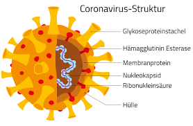 In den medien wird gerade viel über eine krankheit berichtet: Wir Beantworten Die Wichtigsten Fragen Zum Coronavirus Barmer