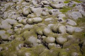 Iceland green fields yellow river location. Lava And Moss The Lava Fields Of Iceland Meandering Wild