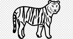 Check out our white tiger drawing selection for the very best in unique or custom, handmade pieces from our shops. Bengal Tiger Black And White White Tiger Black Tiger Free Cartoon Drawings White Mammal Cat Like Mammal Png Pngwing