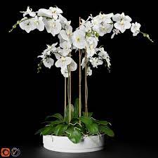 Pin On 3d Plant