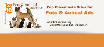Check spelling or type a new query. Animals For Sale Online 10 Best Pet Classifieds Of 2021 Buy Sell Pets Advertising Sites Ads2020 Marketing