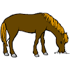 Tutto quello che desideri è capire come disegnare un cavallo con la il disegno della testa del cavallo, partendo da una sagoma estremamente stilizzata. 1