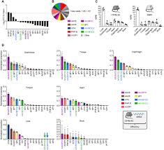 Image result for Poppy Red 1996 AAV