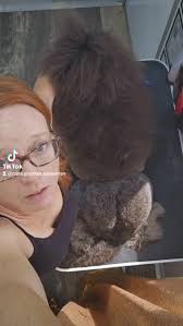 Who else? I cant be alone. #groomer #groomerbrain #dogpeople #doggrooming