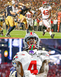 Lisa Schumm (@lisa_schumm)