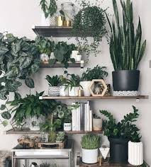 Indoor Garden Shelf Styling Design Gardens Patios Urban Jungle Container Plants Small Space Kitchen Apartment Plant Decor Plants House Plants