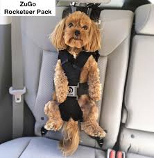 If you're here today looking for the best safety harness for dogs in cars, you're at the right place! The Car Seat Ladydogs And Cats The Car Seat Lady