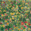 Canvas wall art pink flowers field painting modern abstract landscape picture prints,colorful of living room, bedroom kitchen dining room home office décor good choice pink flower piainting as gifts for birthday, wedding, anniversary, thanksgiving, christmas, new year, mother's day, father's day, valentines day, business related. Https Encrypted Tbn0 Gstatic Com Images Q Tbn And9gctmpylmv600c 1qakstybxfq Fyqsztcgfydjnefz8lfoy4y5gp Usqp Cau