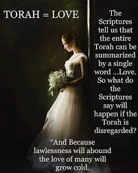 The deliberate trampling upon god's law. Jewish Chuppah Picture Of Haulover Bay Bar Grill Restuarant Great Exuma Tripadvisor