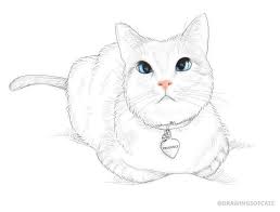 #cute cats #drawing #cat drawing #calico #cute animals. 16 Cute Cat Drawing Tumblr Cat Drawing Cute Cat Drawing Cat Face Drawing