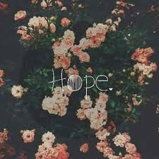 Image result for tbn:hYaJg6QTZtzPyM::upload.alrage.net/3ashe8-alahli/Multimedia/Pictures/Random Pictures/Alahli-Nwe-Logo.jpg