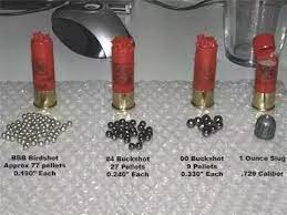 We build the fastest, strongest, baddest sand cars that stand the test of time. What S The Difference Between Buckshot And Birdshot In Shotguns Quora