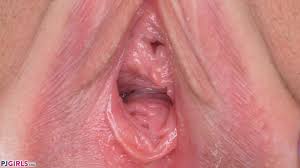 Pictures of each one of these pimples can be easily found on the internet. Looking Inside The Neat Vagina Of Sweet Girl Charlotte Gynohq Com