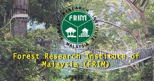 (gaji permulaan ialah pada gred e41 : Jawatan Kosong Forest Research Institute Of Malaysia Frim 6 Mac 2018 Appjawatan Malaysia