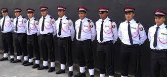 Check spelling or type a new query. Delta Force Security Services