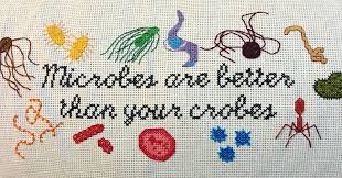 Microbes cross stitch patterns free. Stacey Nicole Keenan On Twitter Finished This Custom Science Crossstitch The Scientist In Me Is Proud Of This Embroidery Microbiology Phdlife Microbes Are Better Thank Your Crobes Https T Co 2lxsmqdldd