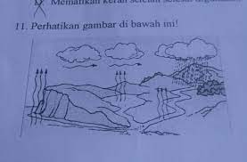 Oleh aulia belladiposting pada 29 januari 2021. Peristiwa Yang Terjadi Adalah A Transpirasi B Evaporasic Kondensasid Presipitasi Brainly Co Id