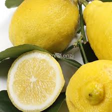 Image result for Citrus × limon