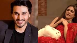 Ahsan ayaz (born 1998), pakistani squash player We Apologize Ahsan Responds To Animal Props Controversy