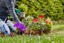 Schließlich sind das doch unfassbar putzige tiere, die doch jeder mal im garten haben will. Verwilderten Garten Herrichten In Wenigen Schritten Zum Erfolg
