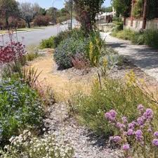 If you love flowers and gardens or just enjoy great views. Go Wild Perth Councils That Pay You 500 To Rip It Up On Your Verge