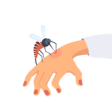 Then rinse the drain thoroughly with the hottest water available. Summertime Is Mosquito Time