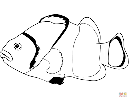 Pez Payaso Para Colorear