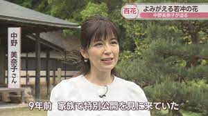 中野美奈子さんが迫る…伊藤若冲の魅力「生で見るとすごい」 香川・金刀比羅宮 | KSBニュース | KSB瀬戸内海放送