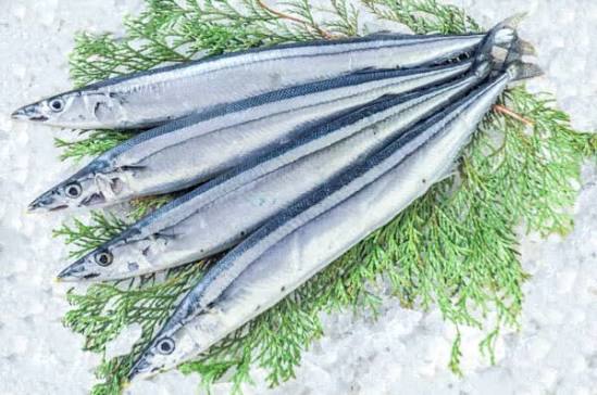 サンマ【業務用食材の仕入れなら八面六臂】