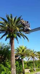 More affordable than corporate pest. Bug Master Pest Control Home Facebook