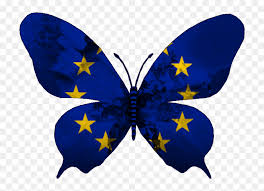 The flag of europe or the european flag is an official symbol used by two separate organisations — the council of europe (coe) and the european union (eu) — as a symbol representing europe. Emblem European Union Logo Hd Png Download Vhv