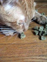 Make Your Own Tasty Treats For Your Cat Friends Offbeat Home Life Cat Training Cat Treats Homemade Cat Care