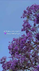 pin by زهوره on al in 2020 cover photo quotes quran quotes verses photo quotes