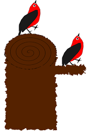 Entdecke rezepte, einrichtungsideen, stilinterpretationen und andere ideen zum ausprobieren. 1879 Burung Clipart Gratis Domain Publik Vektor