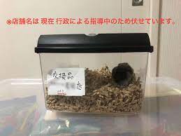 ペットショップの飼育環境が改善されました。(千葉県) - Ham ω Media
