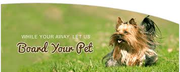 Featuring pet sitting and boarding amenities for dogs & cats, we offer safe. Pet Boarding Services Chippewa Falls Wi Vet Clinic