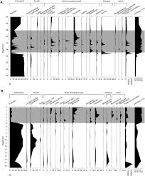 Image result for Kotschya ochreata