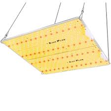 Check spelling or type a new query. Bloom Plus Review Good Budget Quantum Led Grow Lights Grow Light Info