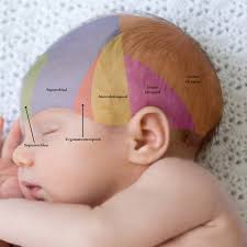 Image result for Forehead Regional Block