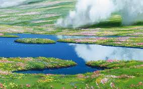 To animation junkies, studio ghibli is a rare flower: Studio Ghibli Flowers Good Films Make Your Life Better Facebook