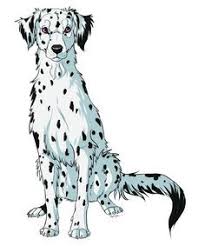 Commander Spear Dog Drawing Animal Drawings Dog Art