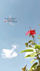 صباح النور والنوير واوراق الشجر والطير صباح الخير يا حلوة morning quotes images quotes about photography sweet love quotes