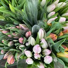 Maybe you would like to learn more about one of these? Berkeley Florist Supply Home Facebook