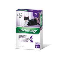 Il est nécessaire de traiter votre chat avec un antiparasitaire au bon moment. Pipettes Advantage 80 Chat Pipettes Anti Puces Pour Chat Et Lapin