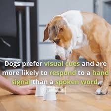 Some have stuck to one brand since the 90's and others are partial to the ice cream of their home state. Smartest Dog Breeds Top 20 The Stupid Too 2 Infographics All Pet S Life