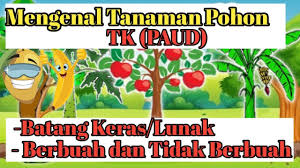 Ini kreasi dari para pekerja medis. Mari Mengenal Tanaman Pohon Berbuah Batang Lunak Dan Keras Materi Tk Paud Youtube