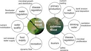 Rivers and streams can cause flooding in surrounding areas, and floods occur over a long period of time, ranging from days to weeks. The Impact Of Flooding On Aquatic Ecosystem Services Springerlink